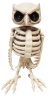 OWL SKELETON ANIMATED