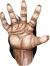 CHIMP BROWN ADULT HANDS