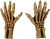 SKELETON HANDS BONE COLOR AD