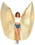 Metallic Pleated Wings 360 Deg Met_Gold