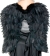 Wings Feather Ad Bk 26 In