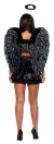 Black Feather Wings