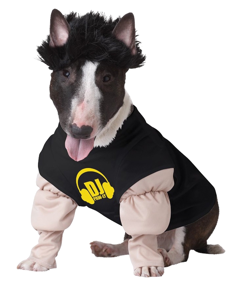 Pet Dj Master Xsmall
