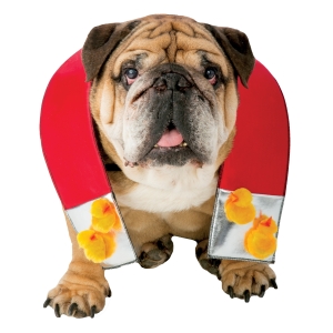 Zelda Chick Magnet Dog Xs/S