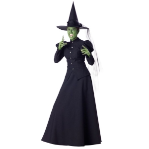 Wicked Witch Adult Med