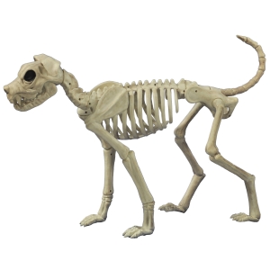 Buster Bonez