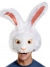 White Rabbit Headpiece Adult