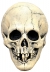 Nightowl Skull White Latx Mask