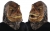Animated Animal T Rex Mask