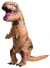 T Rex Inflatable Adult