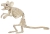 Mouse Standing Skeleton