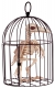 Skeleton Crow In Cage