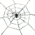 Spiderweb With Spider Asst