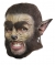 Wolf Dlx Chinless Adult Mask